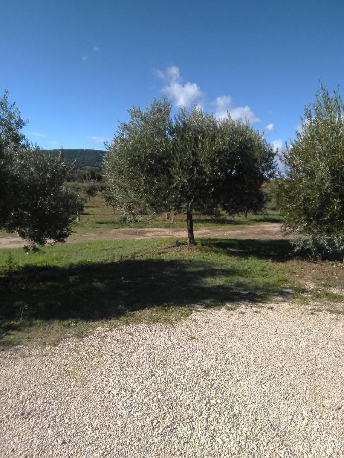 Vacances Vaison La Romaine Екстер'єр фото